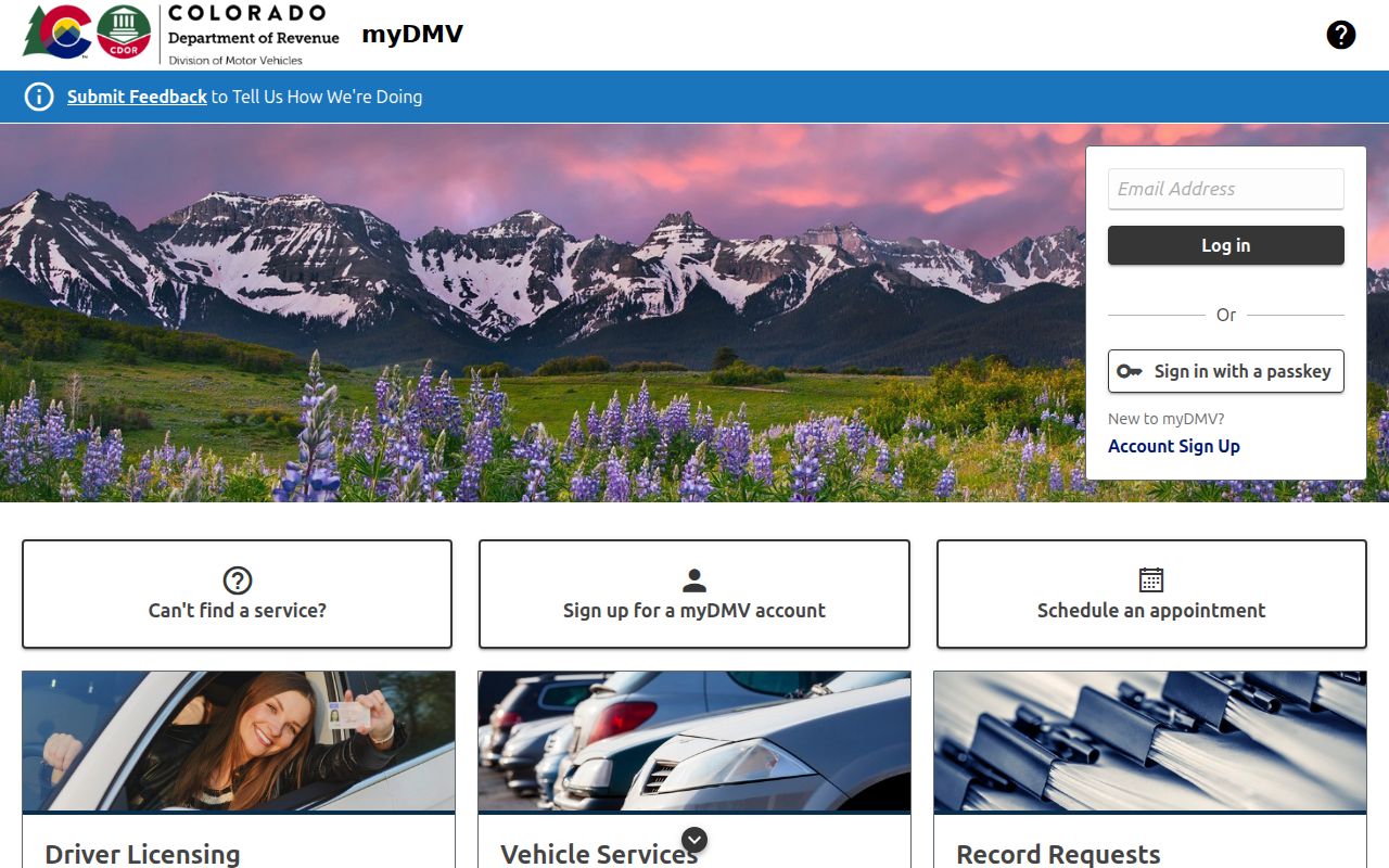 Lake County traffic court records Colorado myDMV portal